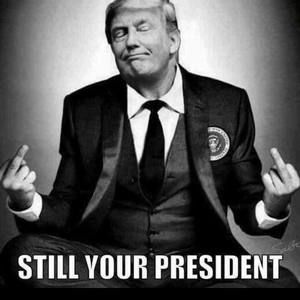 Meet your Posher, Adam